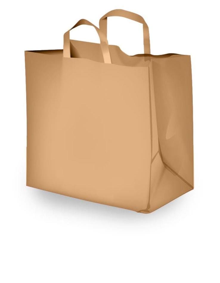 paper bag